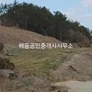 해안공인중개사사무소 이미지