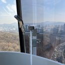 올리브영판교도서관점