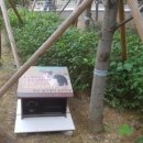 남구-082 이미지