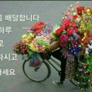 도곡사거리 이미지