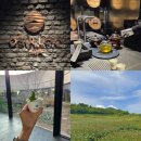 엠지소프트 | 제주 서귀포 오설록 티 뮤지엄 필수코스 - 3번째 방문 만족한 진심후기 티스톤셀러 메뉴 주차장까지