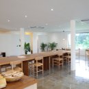 옐로우송버드 이미지