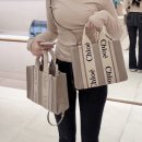 끌로에 우디백 스몰 시멘트핑크 | 롯데백화점 본점 구매후기