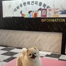 한국애견대학 이미지