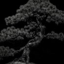 카페 커피캣 이미지