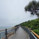 칼럼 쓰기 이미지