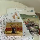 금빛푸드 | 백세푸드 솔잎 기름 천비솔 솔잎액기스 후기