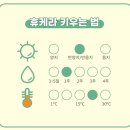 두리조경식물원