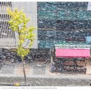 프레시샐 발산역점 이미지