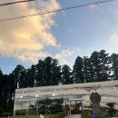 수원-0917 | [대가족 방문 후기] 서귀포 흑돼지 맛집, 직접 구워주는 고기집 <멋진녀석들>