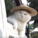 신양아파트 이미지