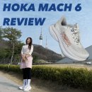 마하세이프 | 추천 1순위 호카 운동화 마하 6 1147810-WNCL 후기 + 신세계 강남 호카 세이프 사이즈 서비스 및 교환 후기