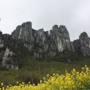 (주)와우여행사 이미지