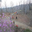 삼거리농장 이미지