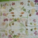 상계초등학교 이미지