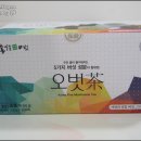송일품약용버섯