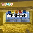 레인보우 동물병원 | 의정부 아이와 가볼만한 곳 대형키즈카페 와글아이 재방문 후기