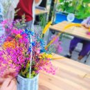 성암 농장 이미지