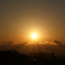 포동이농장 이미지