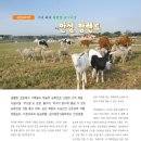 방글목장 이미지