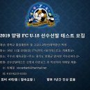 양평시민축구단 산하 U-18 선수모집 (월회비40만원) 이미지