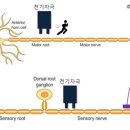 송창원신경과의원 이미지
