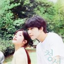 다시 찾아온 조용한 설렘, 한국판 《청설》 리뷰 — Hear Me: Our Summer