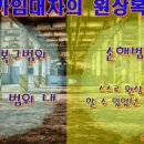 해솔행정사 이미지