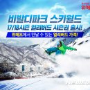 비발디파크 스키월드 이미지