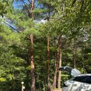 꿈꾸는 계곡펜션 이미지