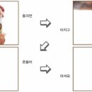 파주양봉영농조합법인 이미지