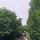 [제주여행] 2박3일 일정_1일차_(1)_::카멜리아힐, 중문국수나라,중문대포해안주상절리::