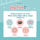 빅파이브 이미지
