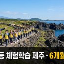 가배정원프로젝트 | 초등학교 체험학습 제주, 담당 교사가 6개월 전부터 챙기는 가을 단체 준비 순서와 예약 타임라인