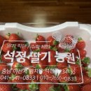 석정농장 | 아산 딸기명인 &#34;석정농원&#34; 직판장 구매 후기