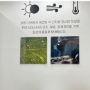 카페차이수서로즈데일점 이미지