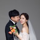비비펠리스