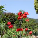 토담민박 이미지