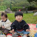 솔내음농장 이미지