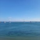 대교블루하우스 이미지