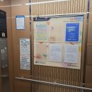 양산1호 | 양산 남자왁싱 포맨왁싱 체험 후기