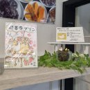 푸린이네 | 시즈오카 슈젠지 온천마을 푸딩 카페, 슈젠지 푸린샵