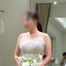 가봉제 | 실크드레스 맛집 청담 보다이승진 셀렉 가봉(촬영, 본식) 후기