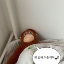 남도설렁탕 | 광주 평동산단 평동 맛집 남도설렁탕 왕갈비탕
