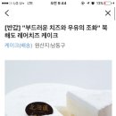 북해도 치즈케이크 50%할인 이미지