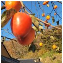 스테이 더 이룸 | 조용히 쉬고 싶어 선택한 이룸스테이에서의 하루가 진짜 힐링 그 자체였어요