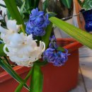 경기여고경운박물관 이미지