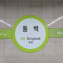 비채길 | [부산] 해운대브런치카페 카페비채 후기(벚꽃구경은 덤)