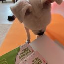 벼리약국 이미지