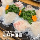회뜨는마을 이미지